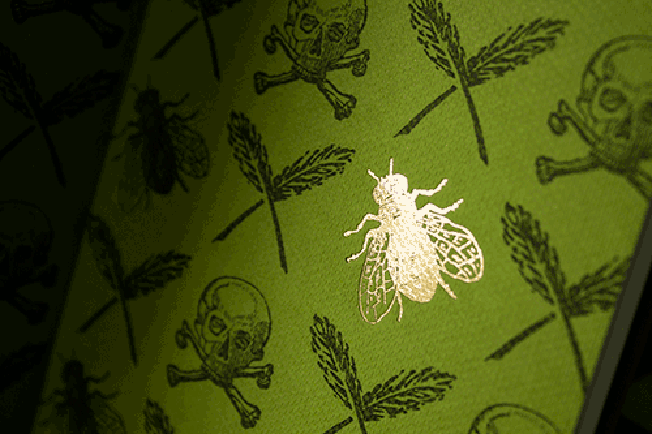 Quando a dor se transforma em poesia de qualidade