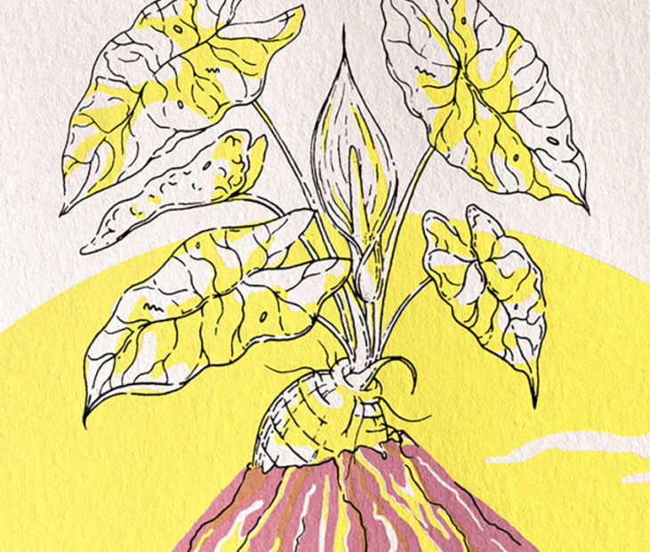 “Depois do Vulcão” a visão de Carolina Maria