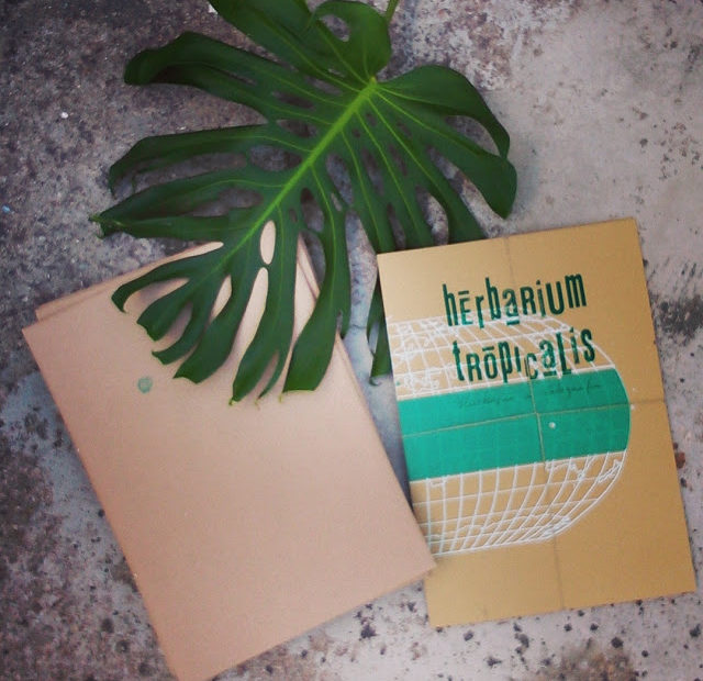 Herbarium Tropicalis – uma coleção de plantas e técnicas.