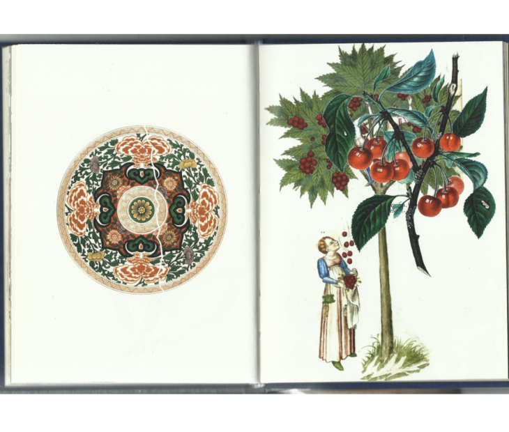 Jardins gráficos não convencionais.