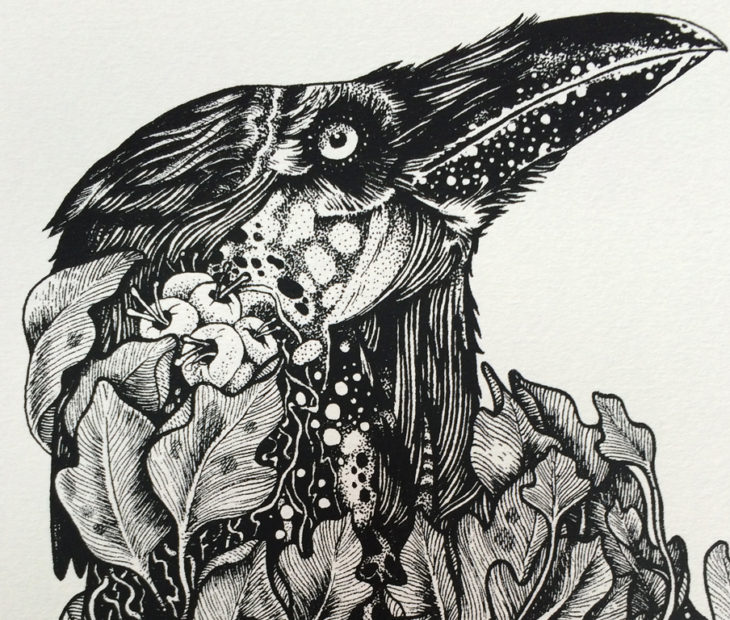 Os Pássaros de #Sérgio Veterano