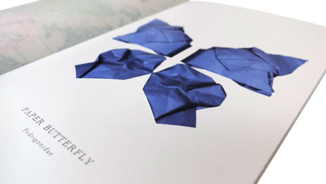 Caçando Borboletas Imaginárias com Papel de Qualidade