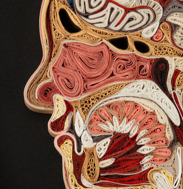 Aprenda anatomia com a técnica do ‘paper quilling’, pela mão de Lisa Nilsson