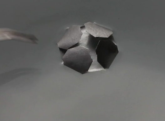 Microrganismos de papel que ganham vida