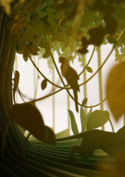 O Livro da Selva em 360º