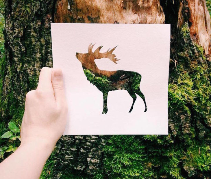 Papel e Natureza, a beleza da simplicidade de Nikolai Tolstyh