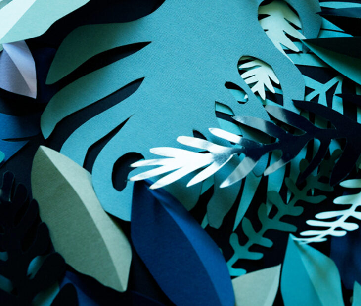 Fichas técnicas, ou o que é preciso saber sobre um papel