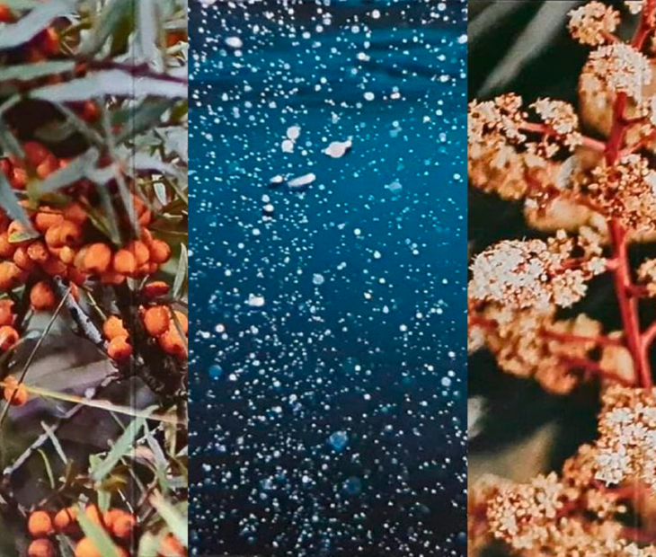 Embalagens de luxo ou como transformar o quotidiano num ritual