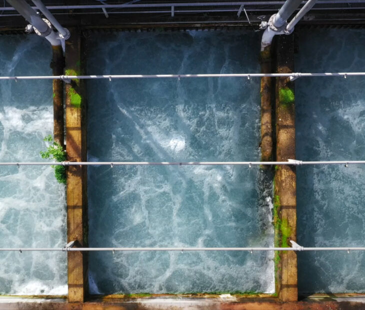 Think green! Da teoria à prática