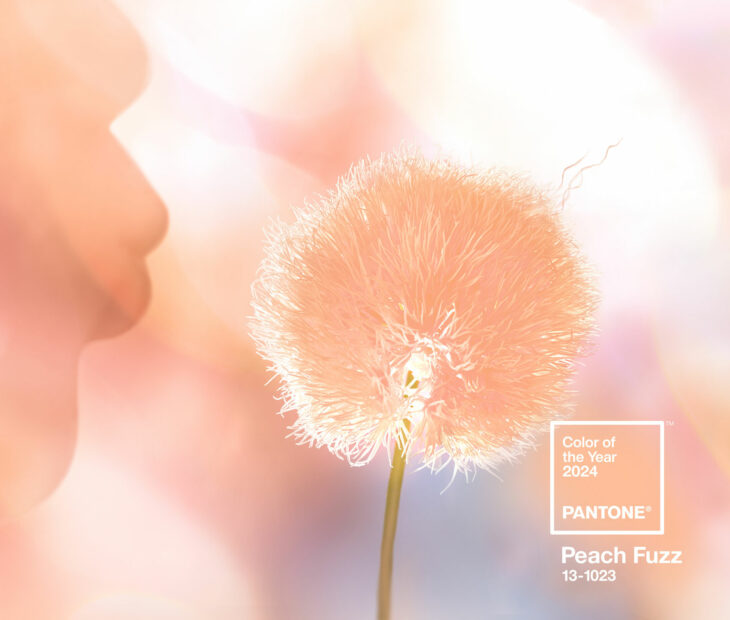 A Pantone apresenta o Pantone Color of the Year 2024: PANTONE Peach Fuzz 13-1023